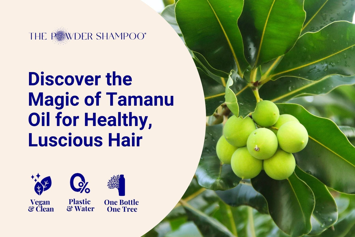 Discover the Magic of Tamanu Oil for Healthy, Luscious Hair