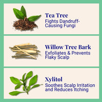 Exfoliating Shampoo For Loose Dandruff Flakes Tea Tree & Salicylic Acid 20g / 0.70oz