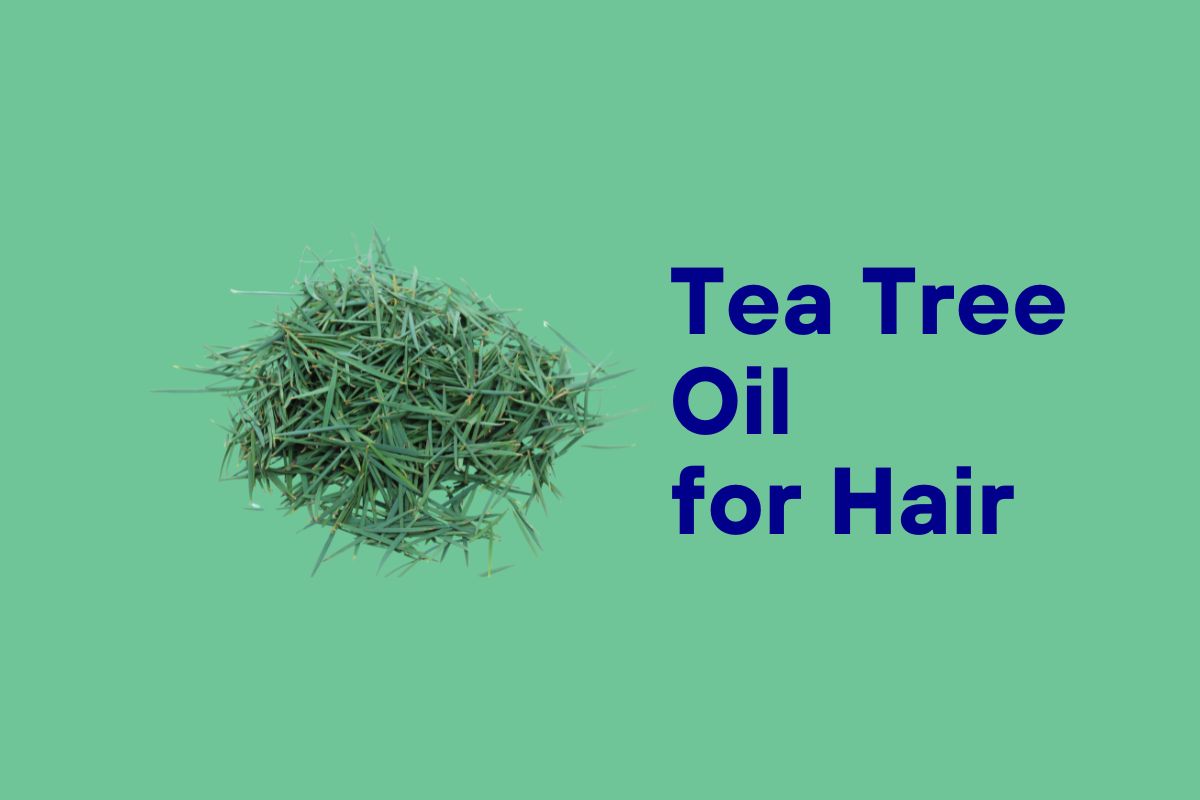 Tea Tree Essential Oil for Hair
