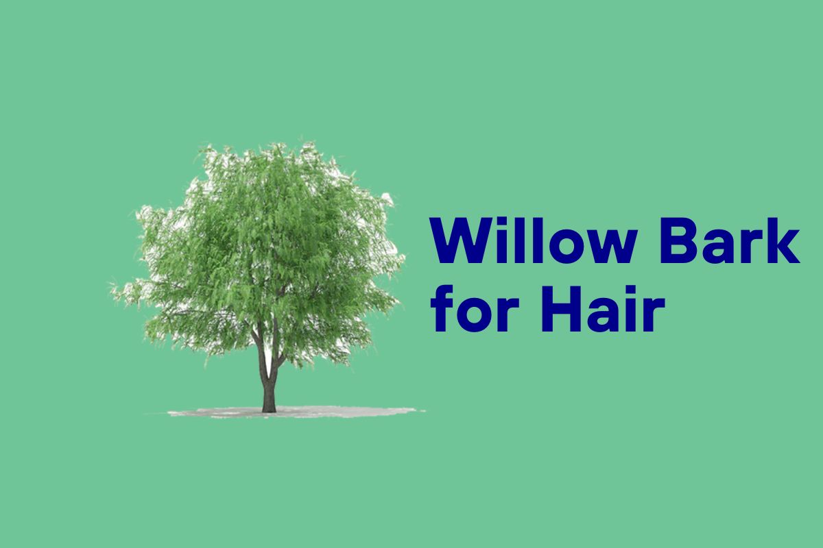 Willow Bark for Hair