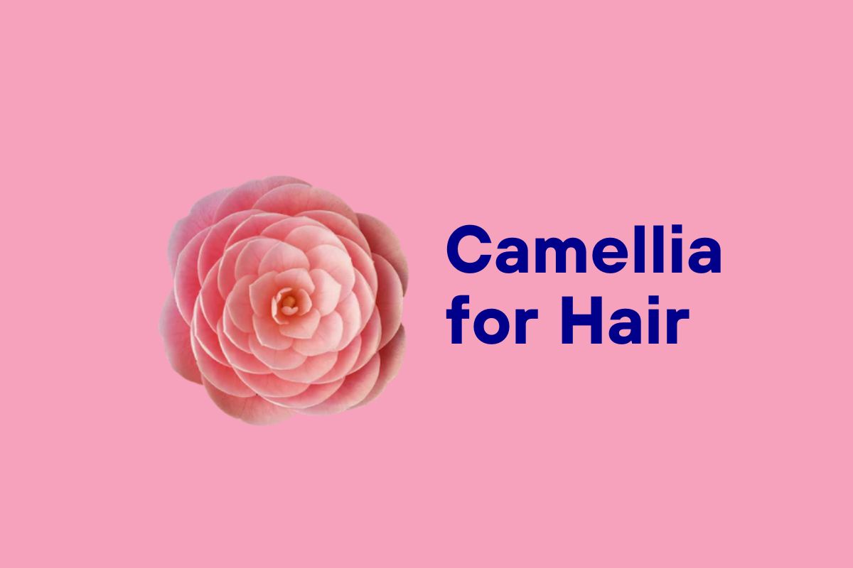 Camellia Oil for Hair