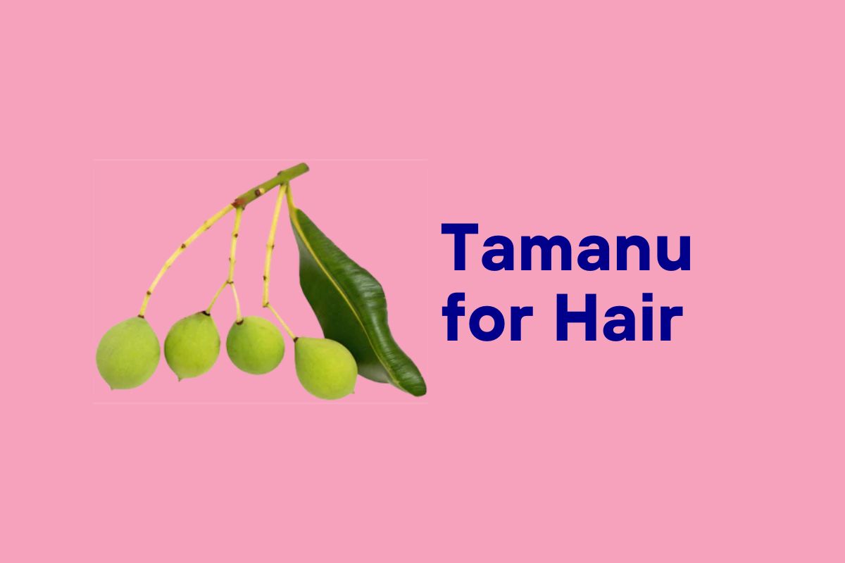 Tamanu Oil for Hair