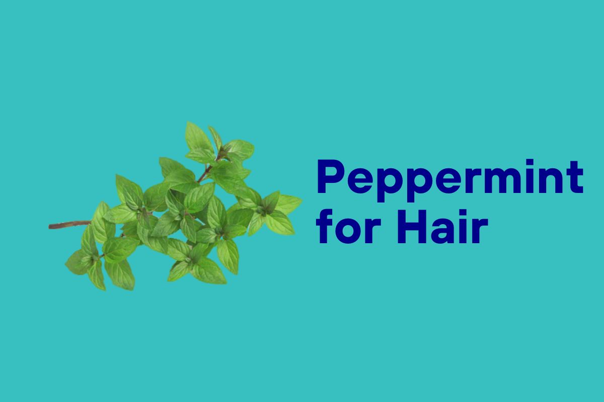 Peppermint Essential Oil for Hair