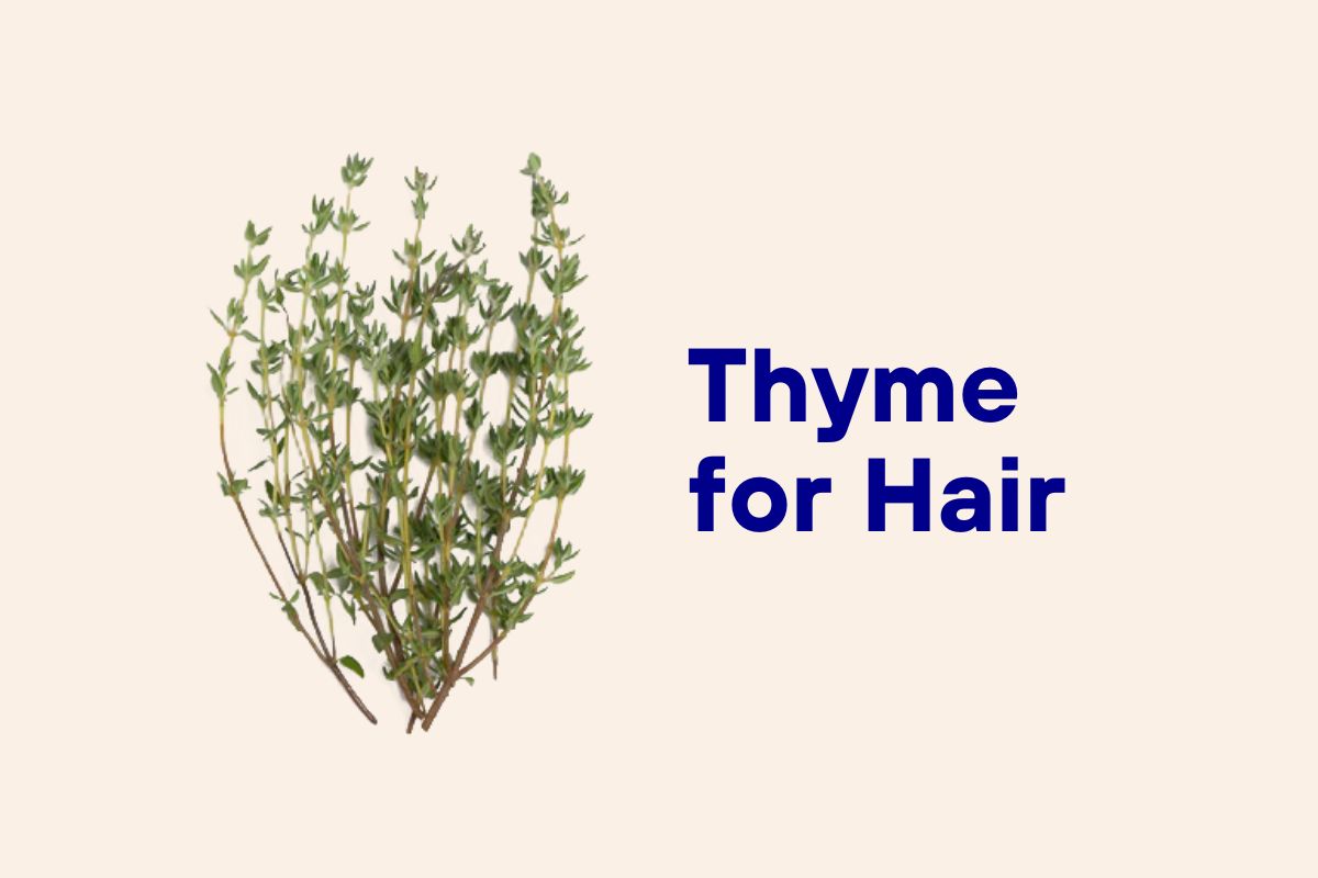 Thyme Essential Oil for Hair