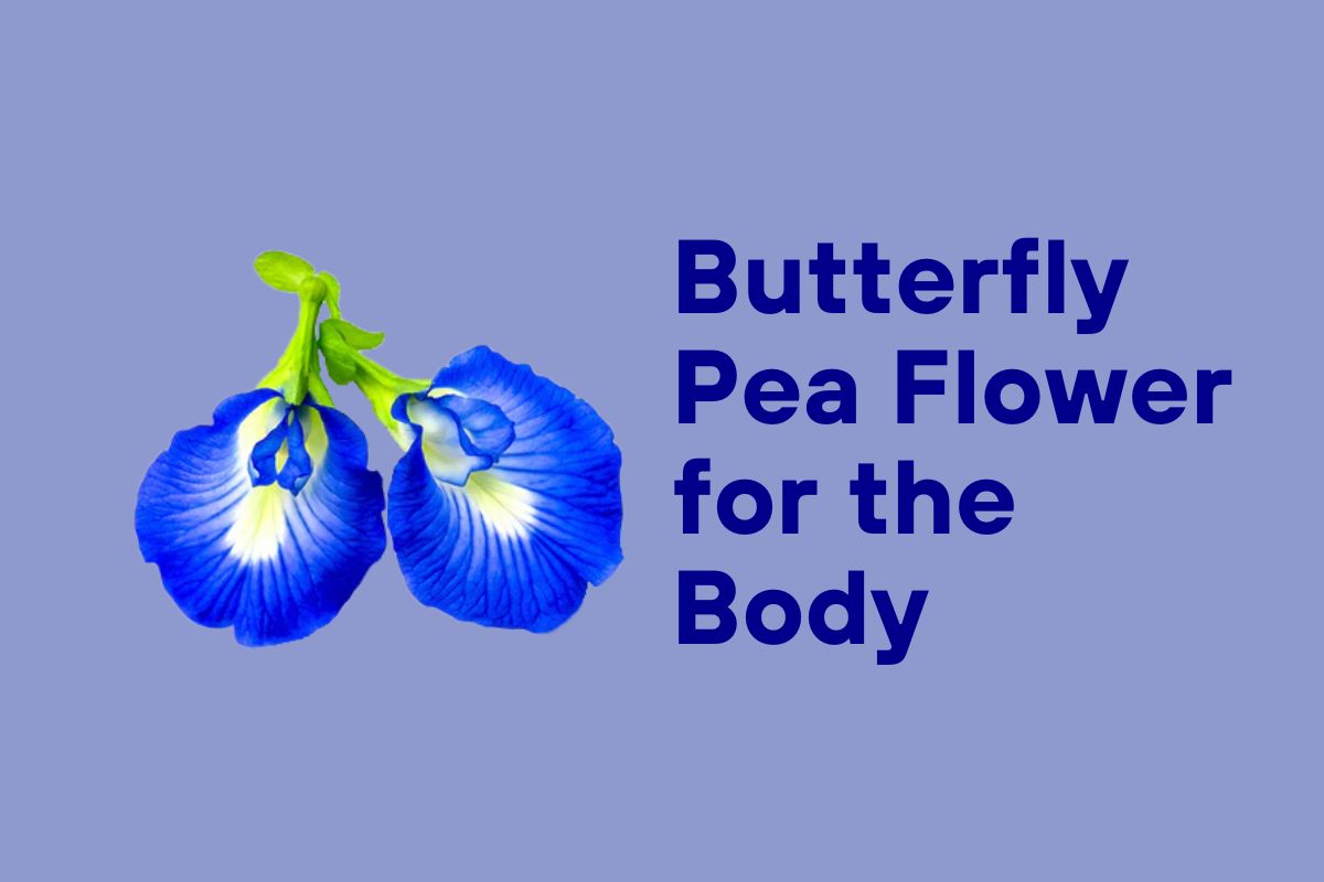 Butterfly Pea Flower for the Body