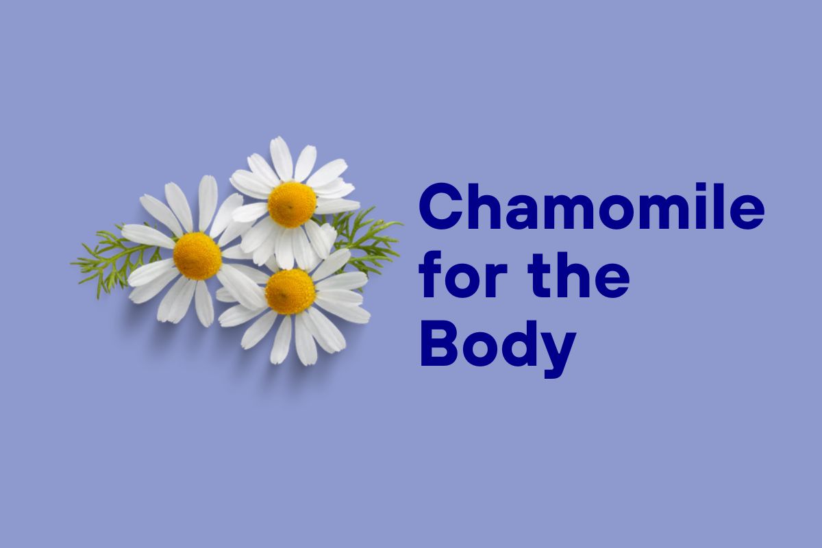 Chamomile for the Body