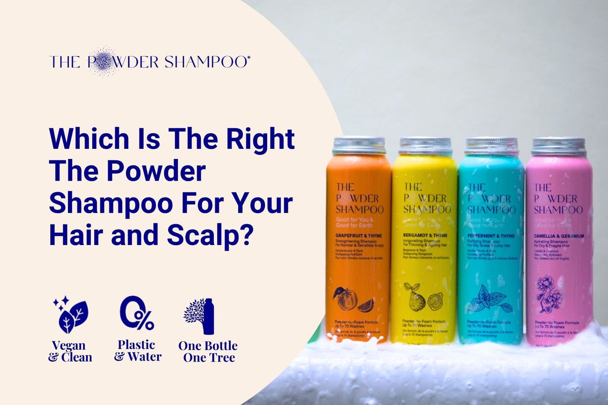 Which Is The Right The Powder Shampoo For Your Hair and Scalp?