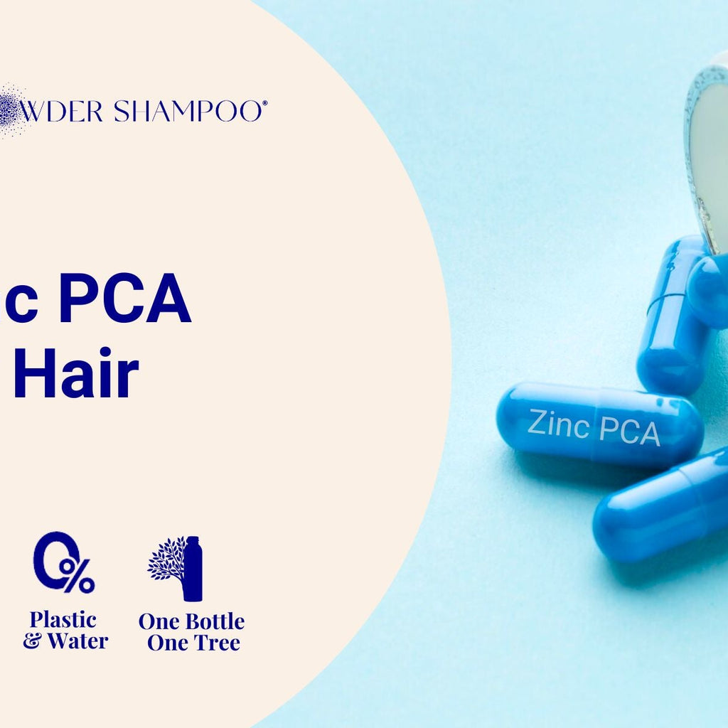 Pca Compact Powder Zinc PCA for Hair – The Powder Shampoo