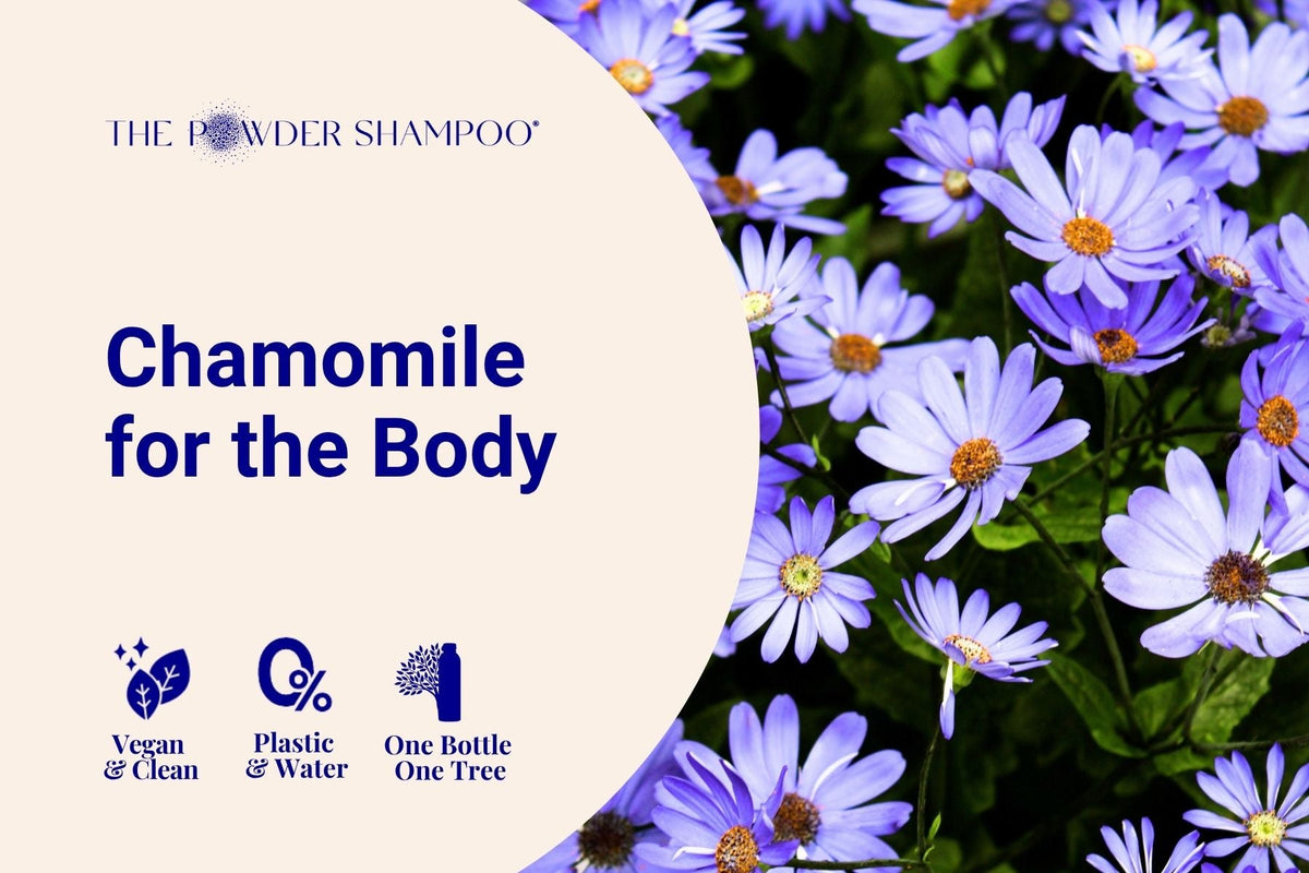Chamomile for the Body