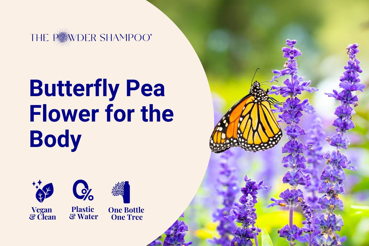 Butterfly Pea Flower for the Body