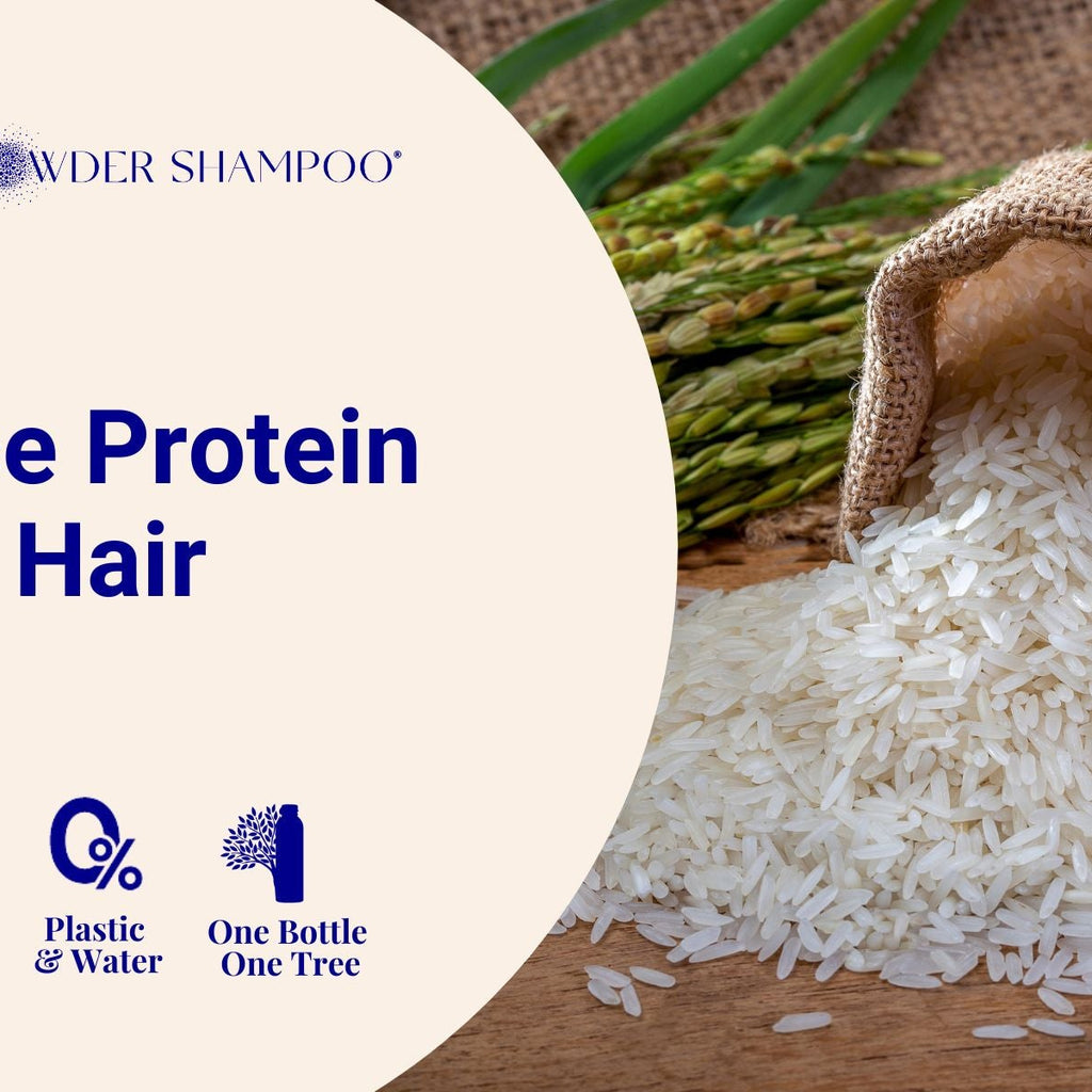 Rice Protein for Hair – The Powder Shampoo