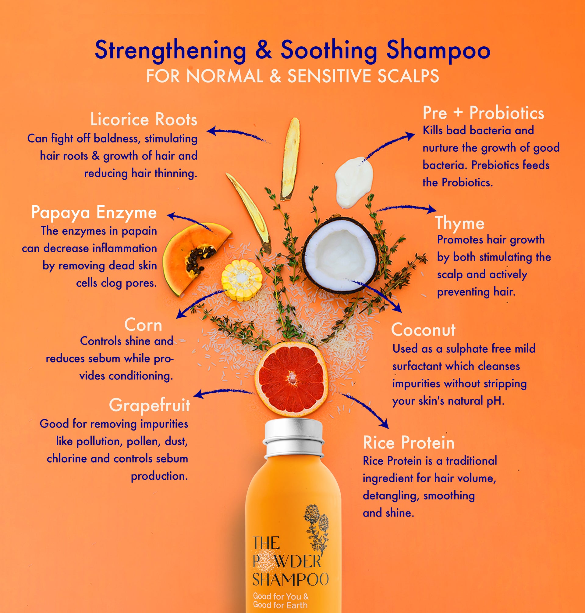 Powder Shampoo For Normal & Sensitive Scalps The Powder Shampoo