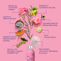 30x Mini Bottle - Hydrating & Replenishing Powder Shampoo For Dry & Fragile Hair