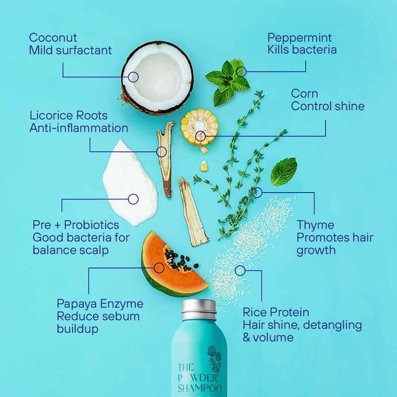 Purifying & Regulating Powder Shampoo For Oily Scalp & Limp Hair 100g / 3.5oz