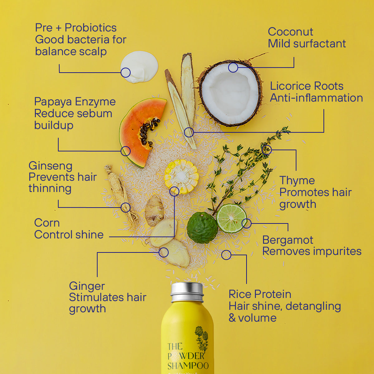 One Year's Supply - Invigorating & Stimulating Powder Shampoo For Thinning & Ageing Hair