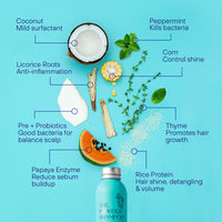 <transcy>淨化調節淨髮粉

適用於油性頭皮和軟塌髮質</transcy>
