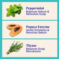 Purifying Shampoo For Oily Scalp & Limp Hair Peppermint & Papaya Enzyme (270x Washes - 1 Year Supply)