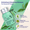 Let Your Light Shine - Eco Escapades