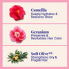 Hydrating Shampoo For Dry & Fragile Hair  Camellia & Geranium 20g/0.70oz