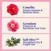 Hydrating Shampoo For Dry & Fragile Hair Camellia & Geranium 50g/1.76oz