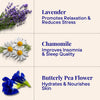 Relaxing Body Foam Wash For All Skin Types Lavender & Chamomile Starter Kit (170x Washes)