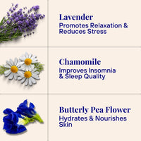 Relaxing Body Foam Wash For All Skin Types Lavender & Chamomile Starter Kit (170x Washes)