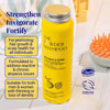 Invigorating Shampoo For Thinning & Ageing Hair Bergamot, Biotin, Ginger & Ginseng 70g / 2.47oz